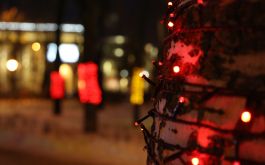 В Воронеже на новогодние праздники перекроют центральные улицы