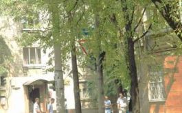 Озорные перекрестки города